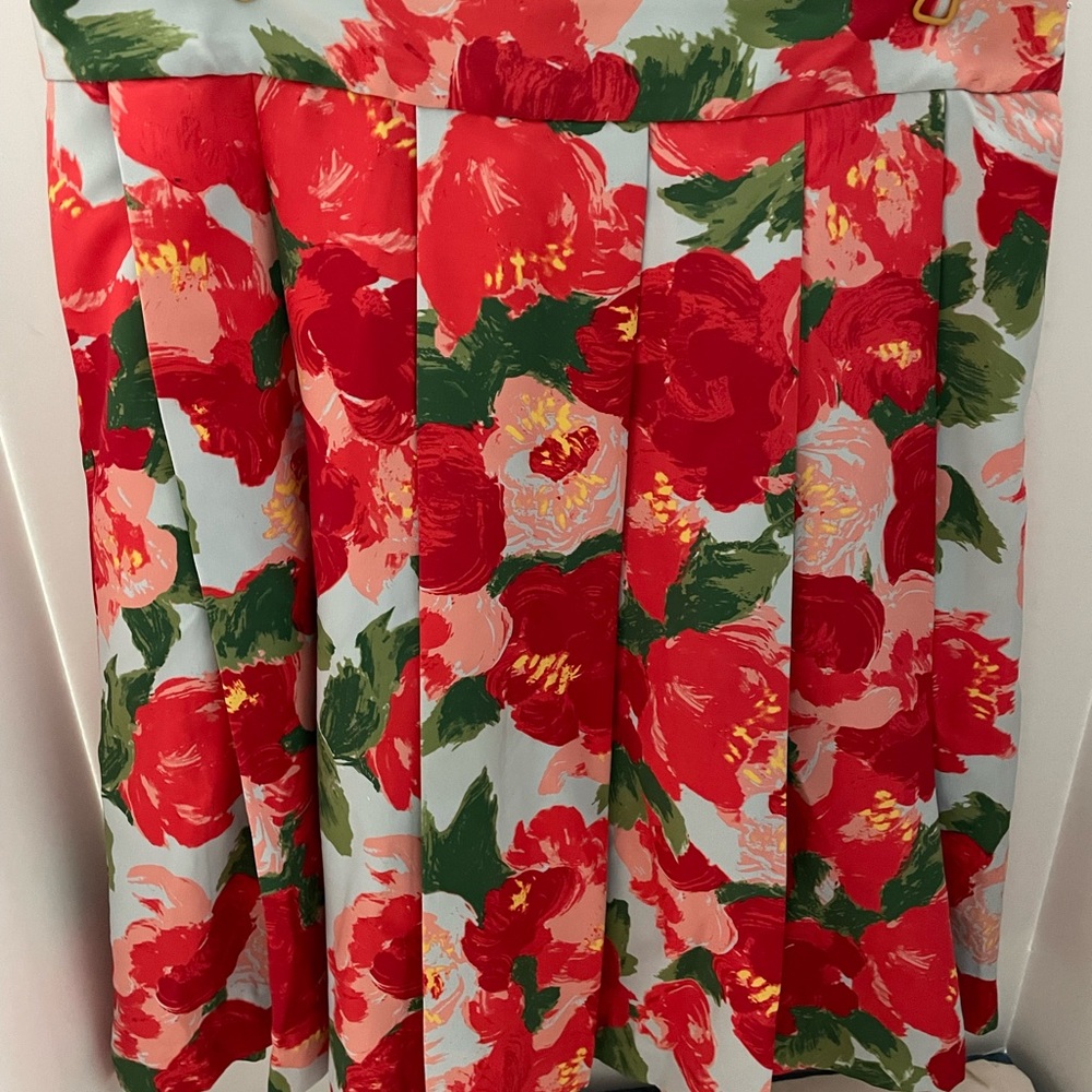 Frances Valentine Printed Pleated Peony Skirt, Size 12 with Dust Bag. EUC